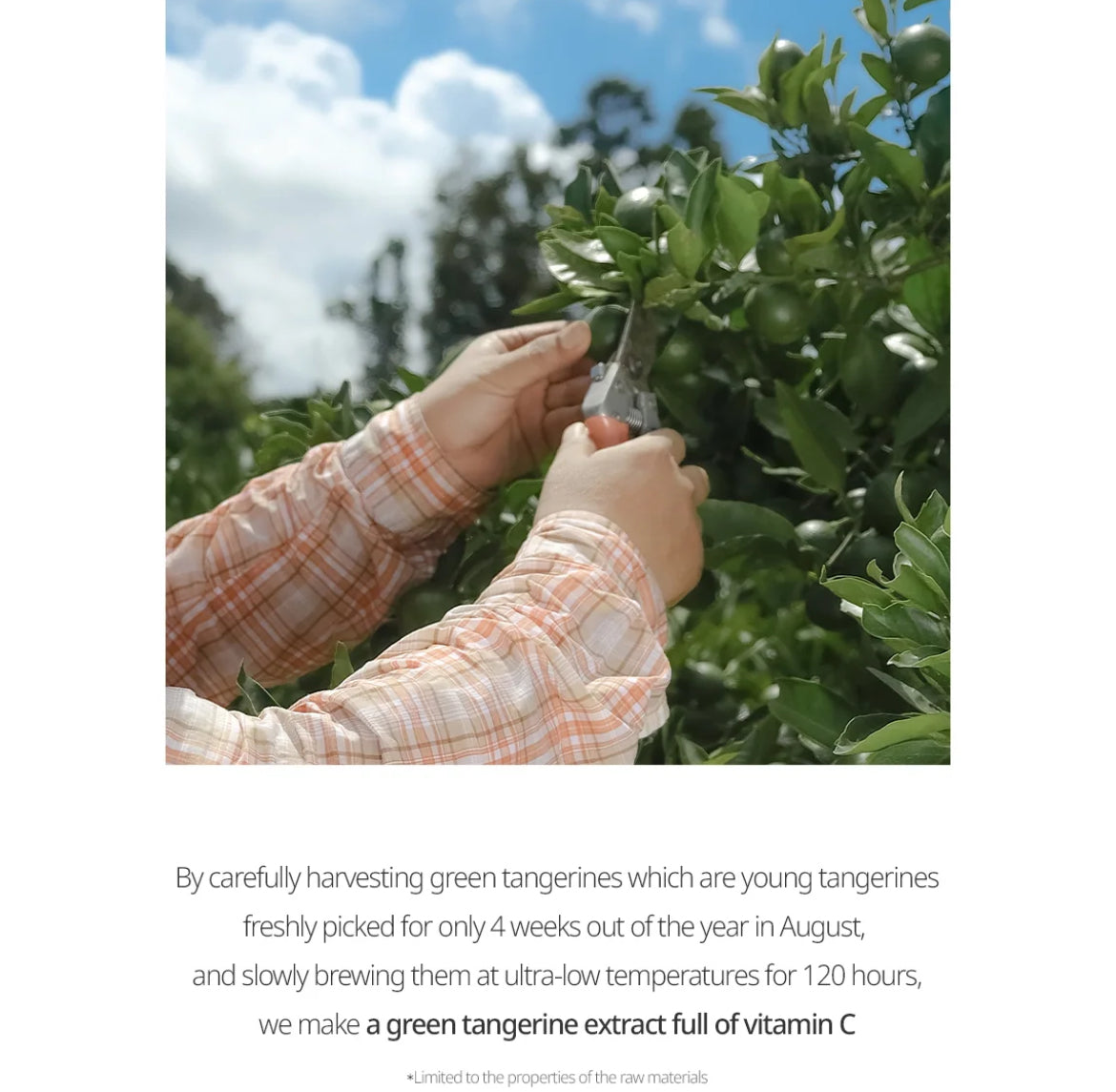 Goodal - Green Tangerine Vita C Cleansing Foam