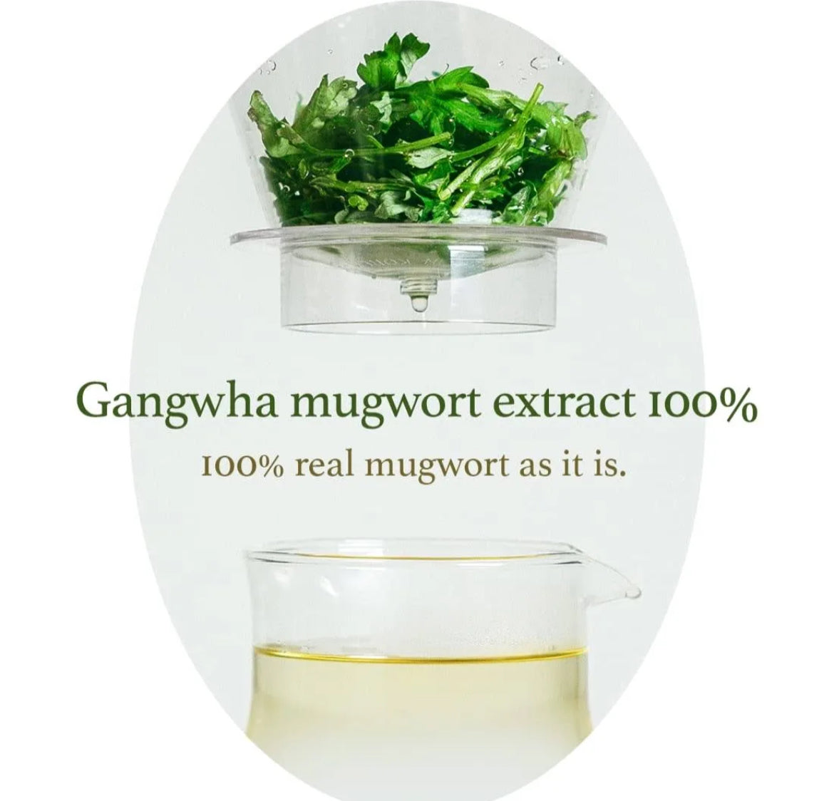 [I’m From] Mugwort Mask