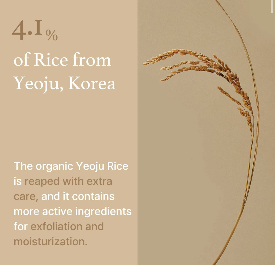 [I’m from] Rice Mask 30g